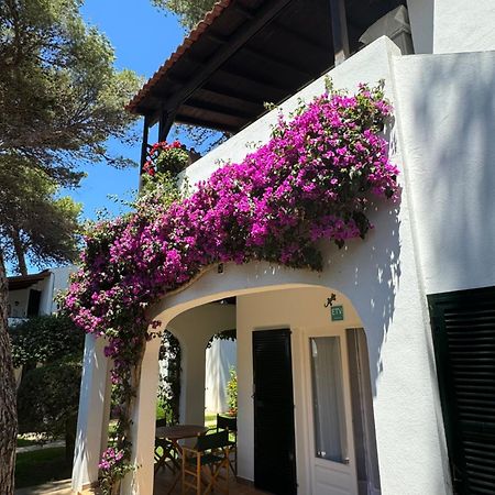 Apartment With Garden And Swimming And Beach カラ・ブランカ エクステリア 写真