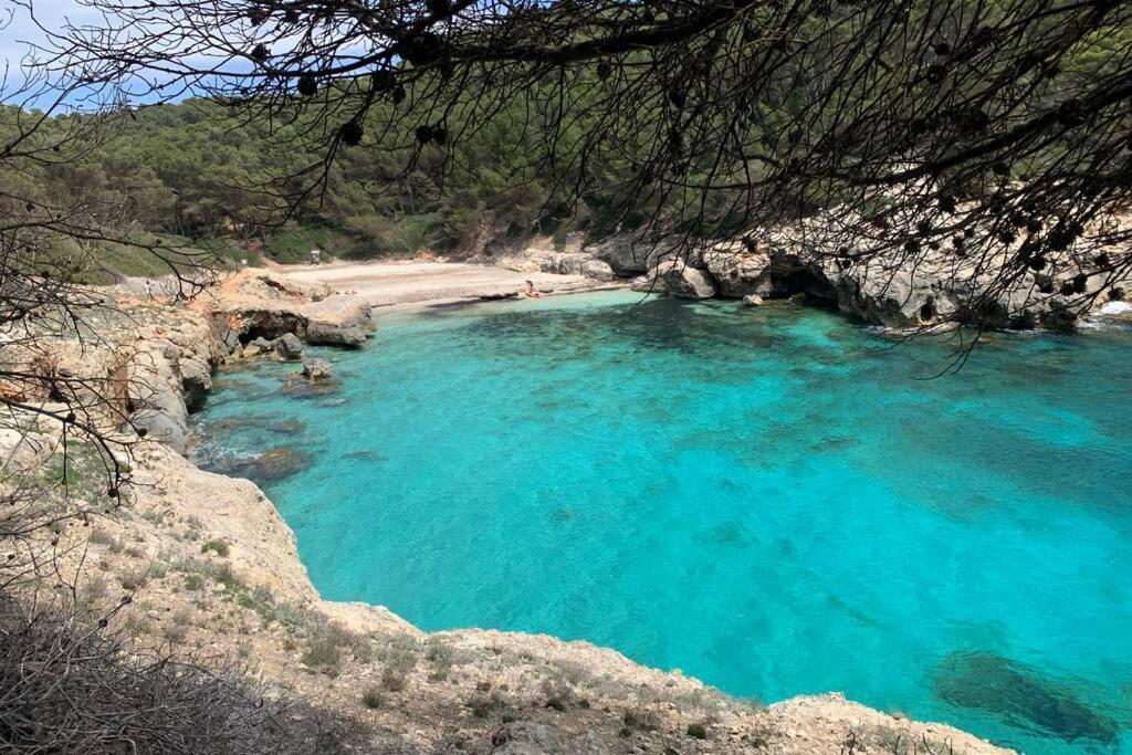 Apartment With Garden And Swimming And Beach カラ・ブランカ エクステリア 写真