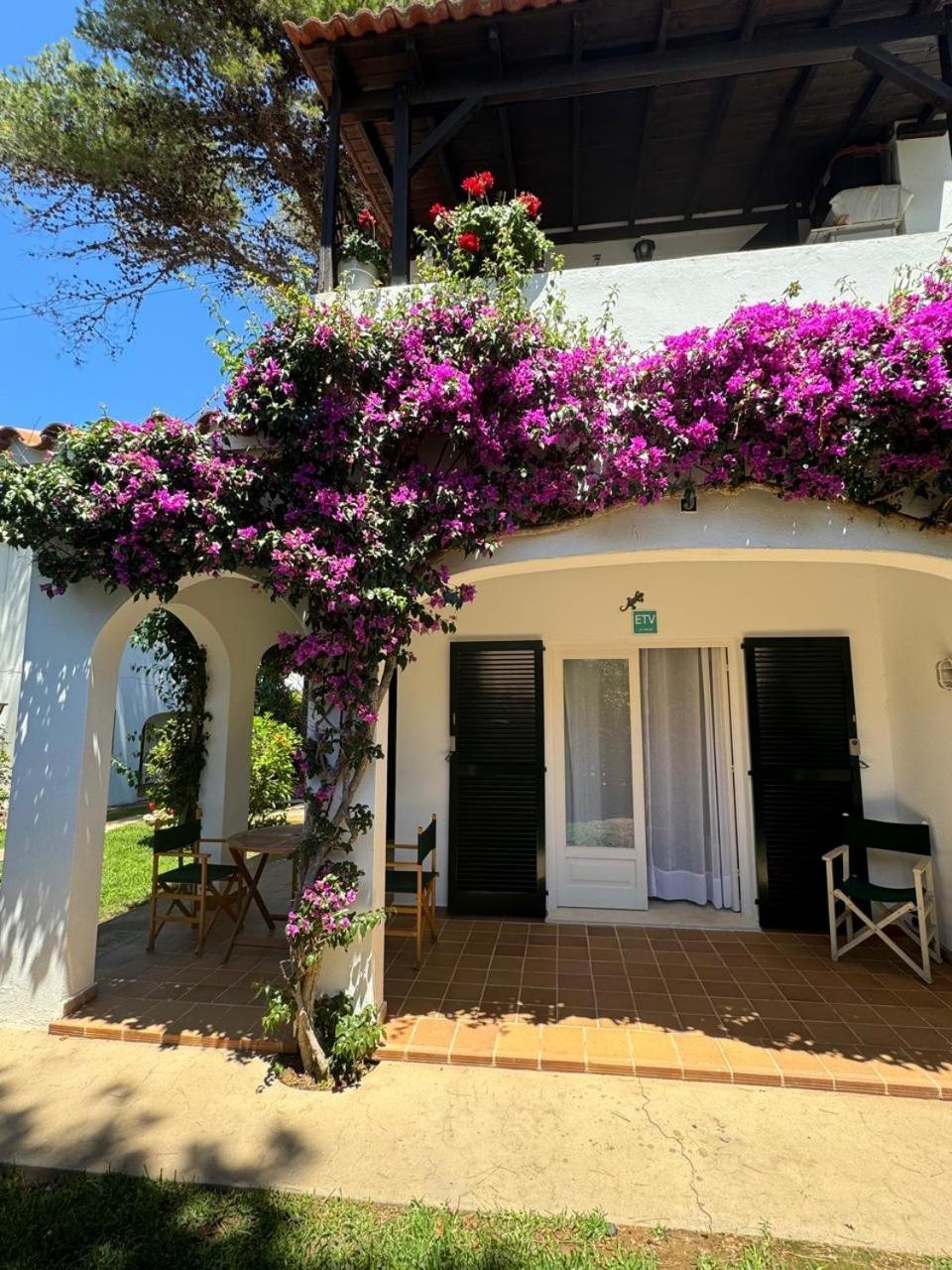 Apartment With Garden And Swimming And Beach カラ・ブランカ エクステリア 写真