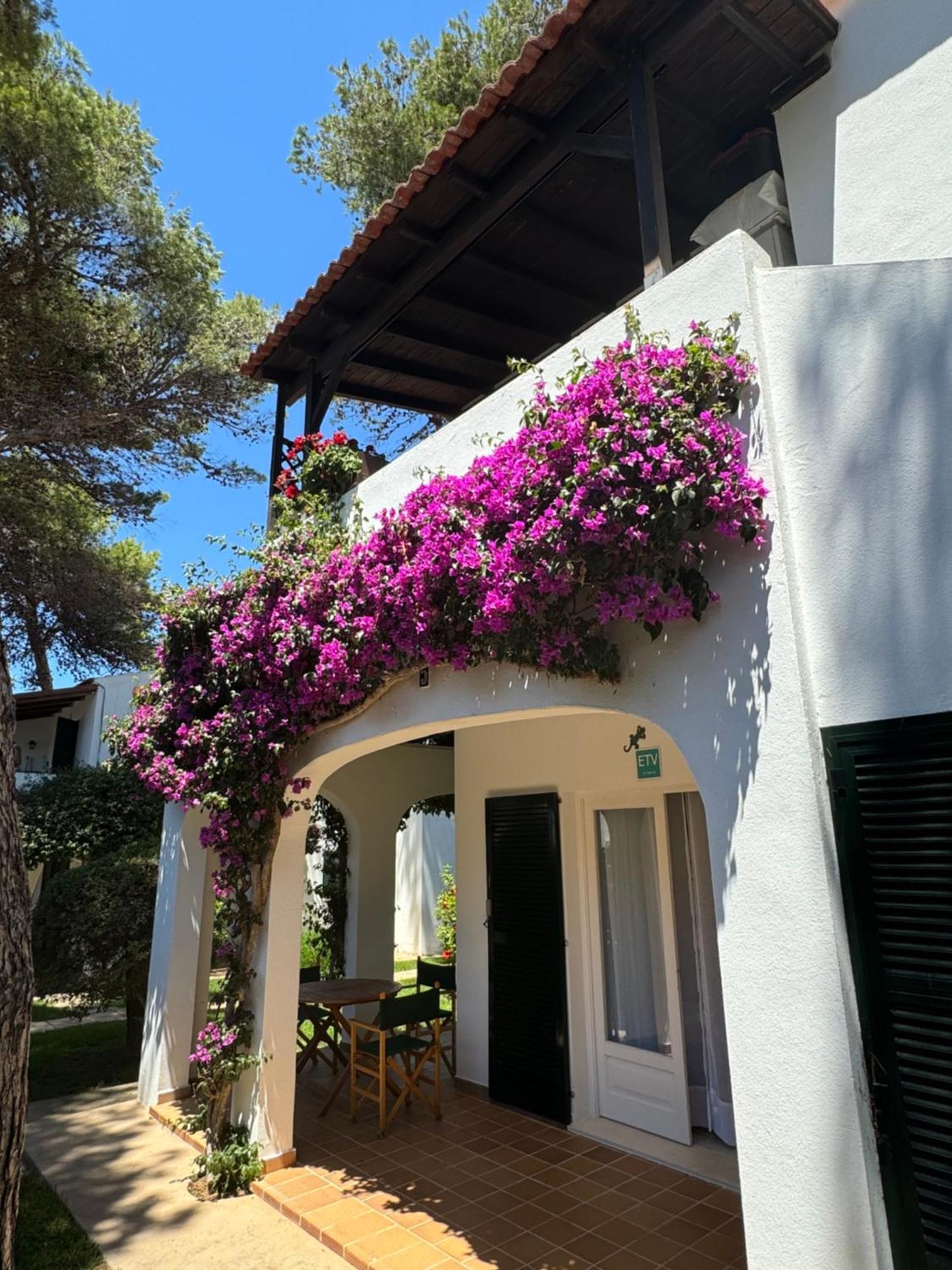 Apartment With Garden And Swimming And Beach カラ・ブランカ エクステリア 写真